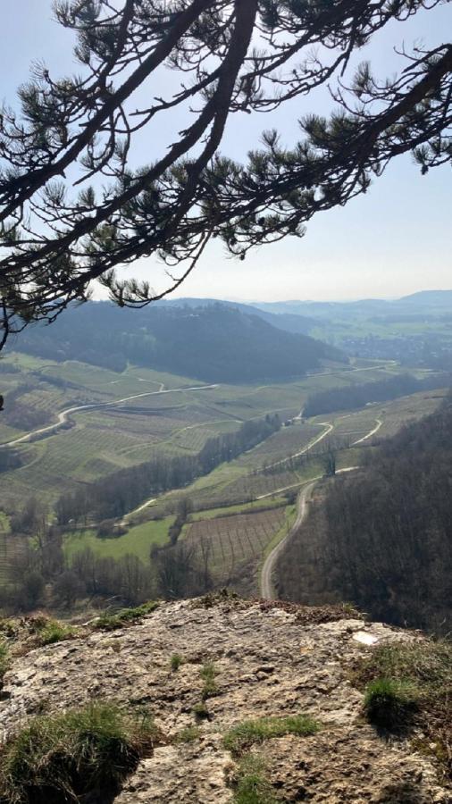 Gite Des Reculees Ladoye-sur-Seille Exterior foto